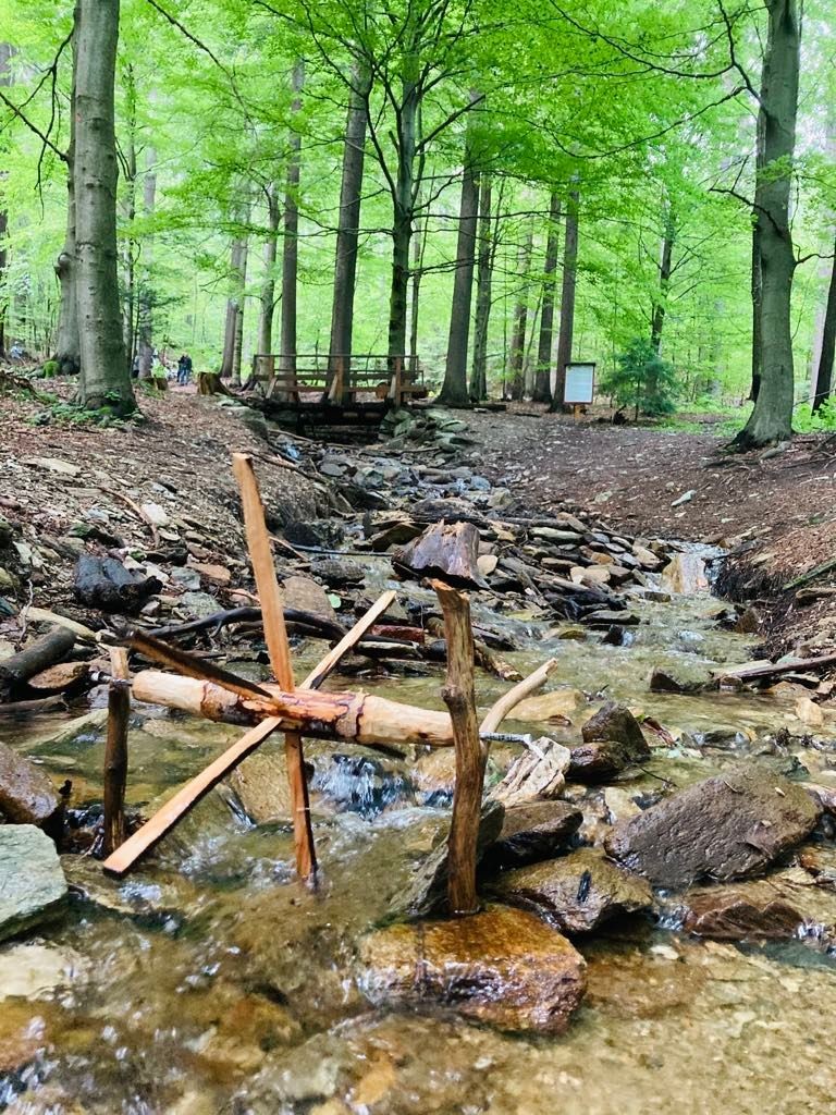 Woodland stream with a small handmade stick dam and a footbridge in the background.